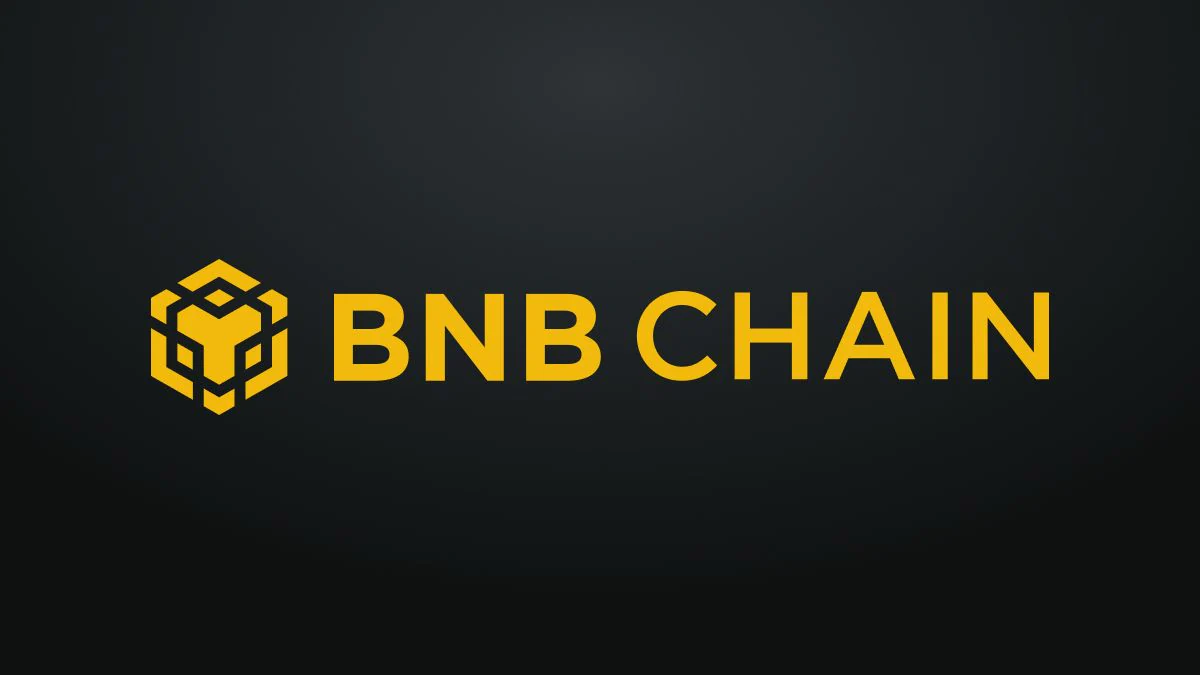 BNB_chain_logo_large_1663232050461.jpg